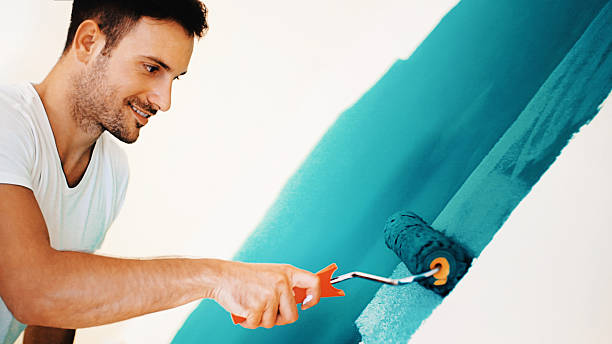 Best Commercial Painting  in Oswego, IL